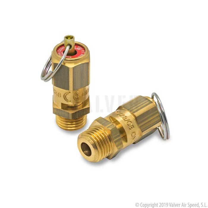 Safety valve 1/4" pressure tank 8 bar