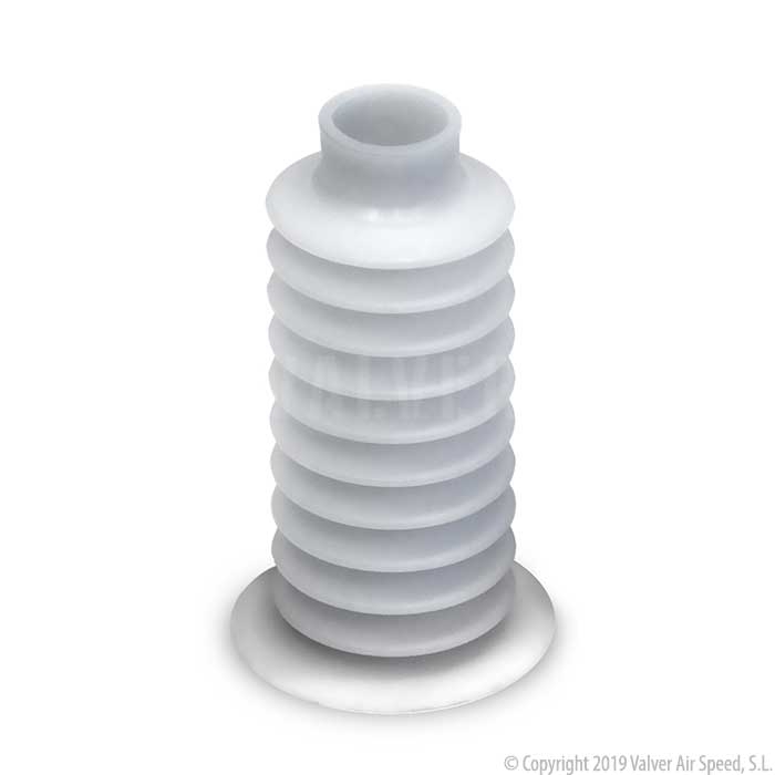 Long white bellows 10 spirals