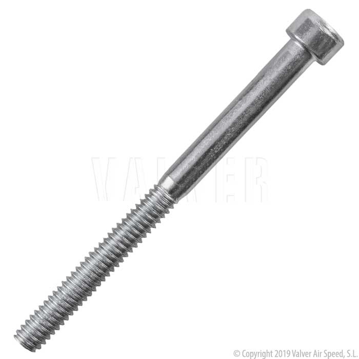 Cylinder screw  D80 - D200L