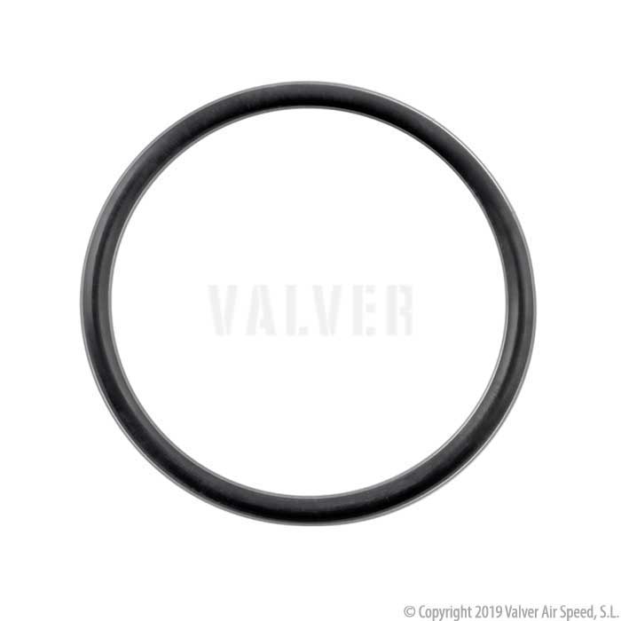 Encapsulated o-ring 20.00 ID 4.00 Ø