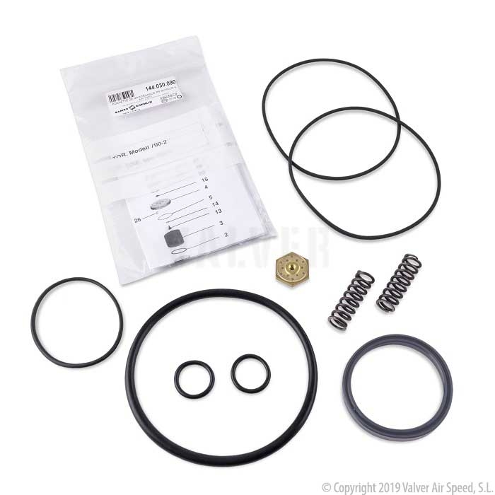 Seal kit for motor E.KREMLIN 20-15