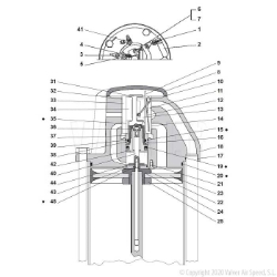 250_MASI-DR150075_2.jpg